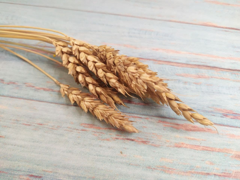Пшеница натуральная, 30см, 10шт.