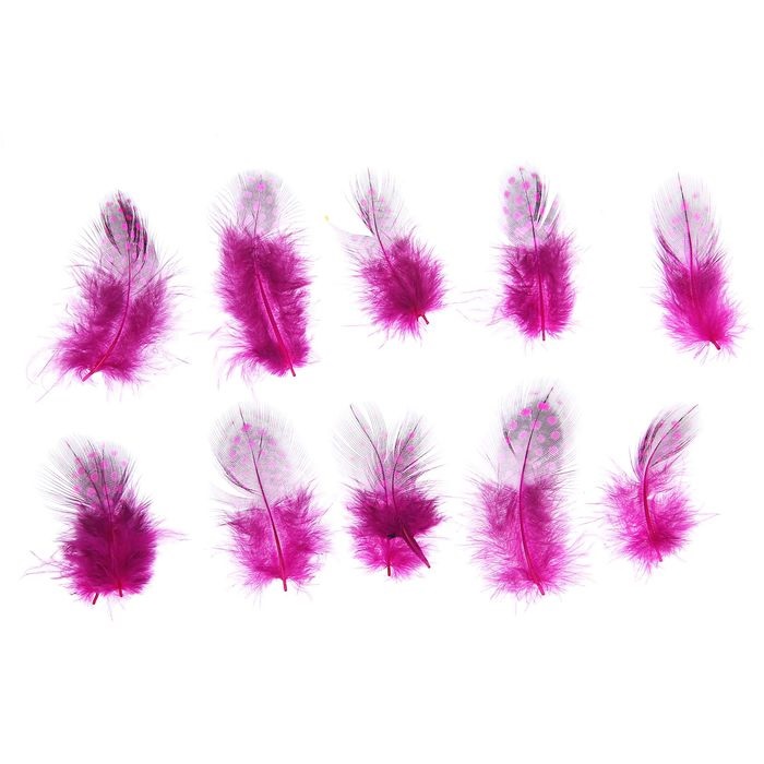 Перья для декора, размер 5*2 цвет розовый с черным